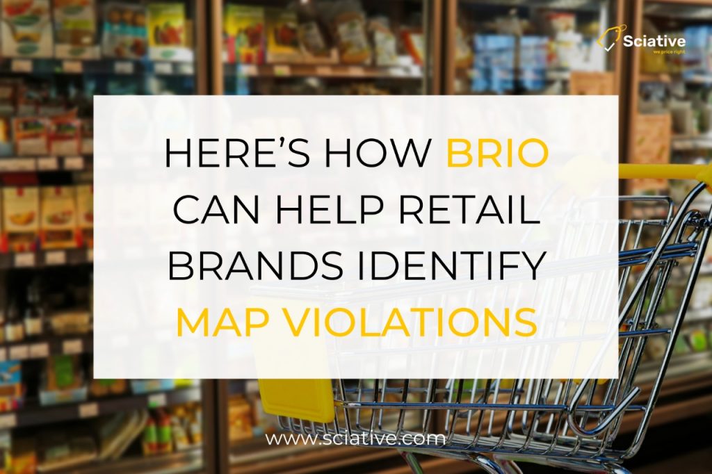 Here’s How BRIO can help Retail Brands Identify MAP Violations