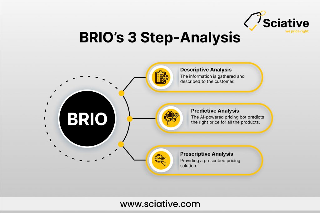 brio, predictive analysis, descriptive analysis, AI-powered pricing, pricing, artificial intelligence, dynamic pricing, machine learning 